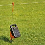 Best Electric Fence for your horse or pony - 2021